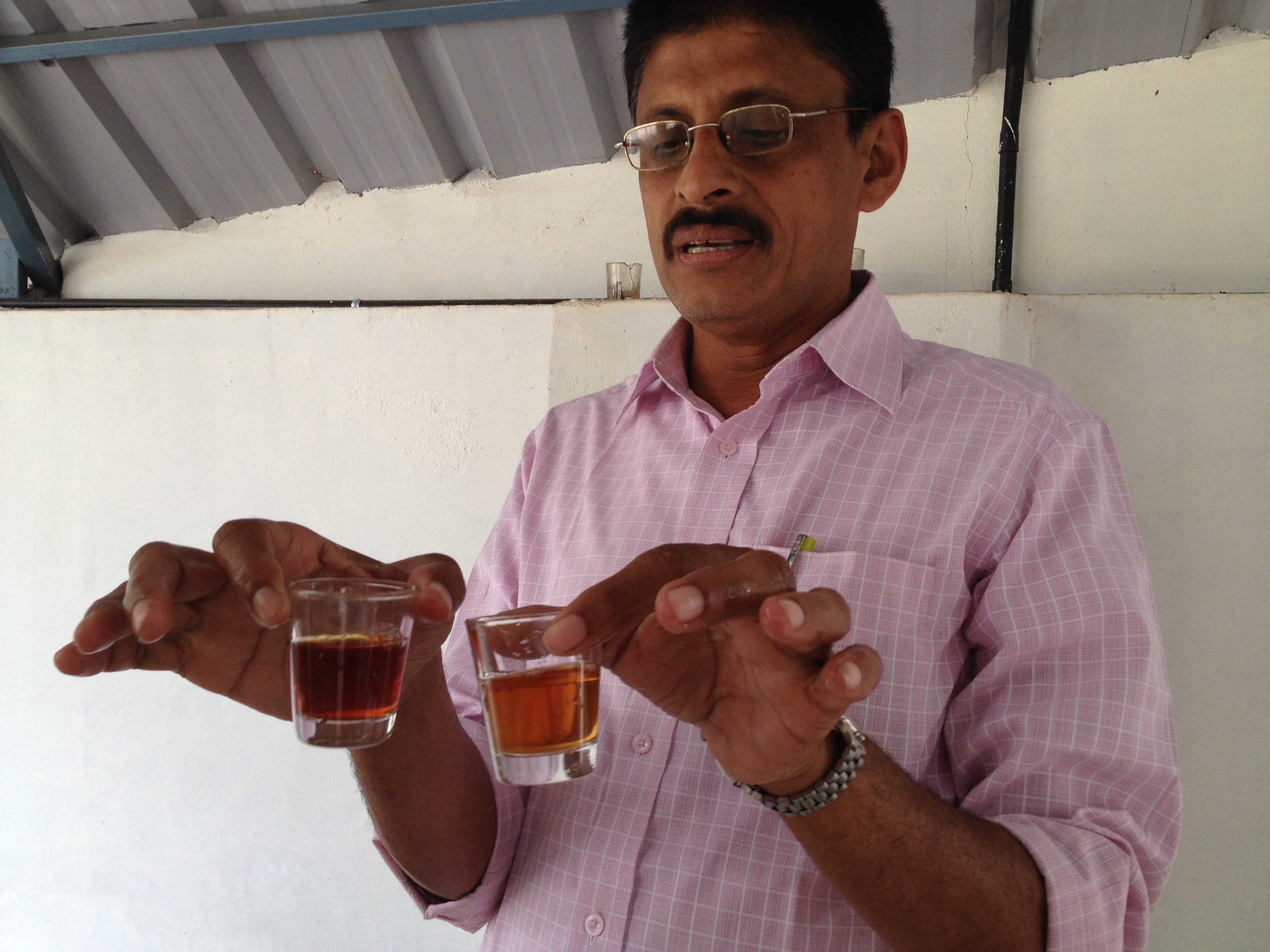 Tea Factory 1